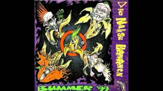Die Nakse Bananen - Bummer '99 (full album)