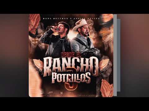  Raúl Beltrán FT Jaziel Avilez | Salí a buscarle | 2025