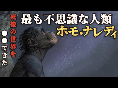 1994 年の世界の人口密度