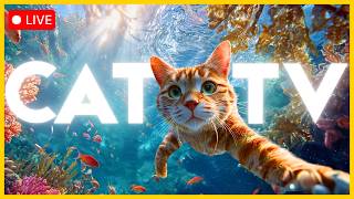 🔴 LIVE CAT TV  🐠 Soothing Anxiety Relief for Cats & Kittens Home Alone🐱