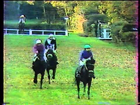 Velká pardubická 101.ročník