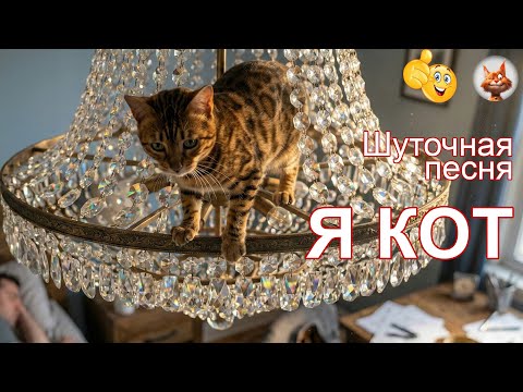 Я кот (шуточная песня)