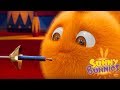 Sunny Bunnies - SUNNY CIRCUS | Videos For Kids | Funny Videos For Kids