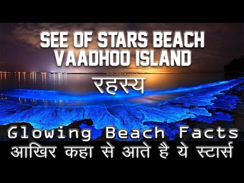 Sea of Stars, Vaadhoo Island - Fact in Hindi (ग्लोइंग स्टार का रहस्य) || Explore You || Video