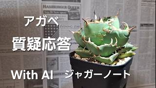 アガベ 雑談 質問に答えてみる with AI ジャガーノート note記事　ラジオ　Podcas