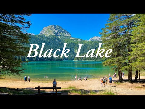 Black Lake Žabljak ⛰️ Montenegro 🇲🇪 Walking Tour