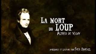 Alfred de Vigny - La mort du loup (lecture & ambiance)
