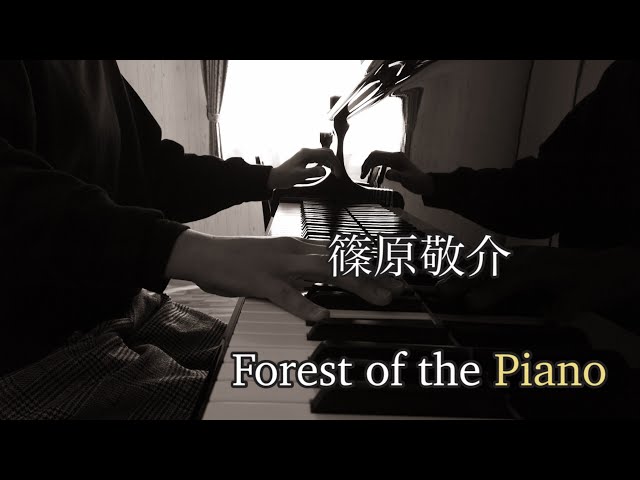 Forest of the Piano