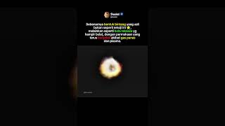 Download lagu bentuk binatang yang sebenarnya mp3