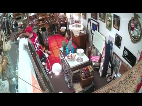 Antique store theft surveillance video
