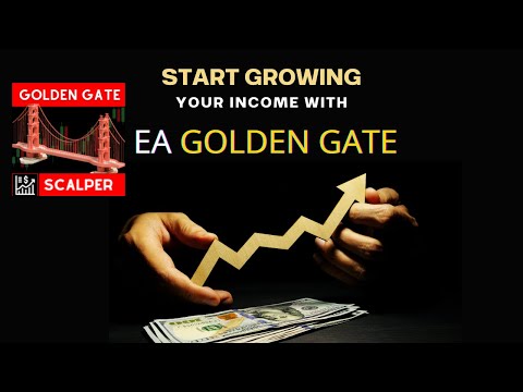 Video Scalper Golden Gate