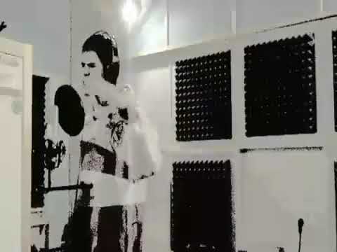 Mravní Zkaženci - Sir Cedrick [STUDIO VIDEO 2008]