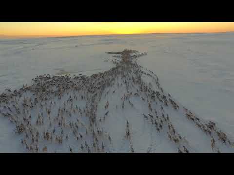 Violet Road - "Keep on Running"