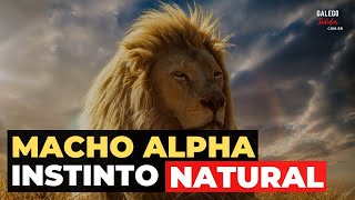Como Seu Instinto de Sobrevivncia Pode Ajudar a Pegar Mulher | COMO SER MACHO ALPHA