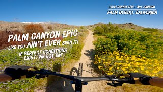 Prime conditions on the Palm Canyon Epic.