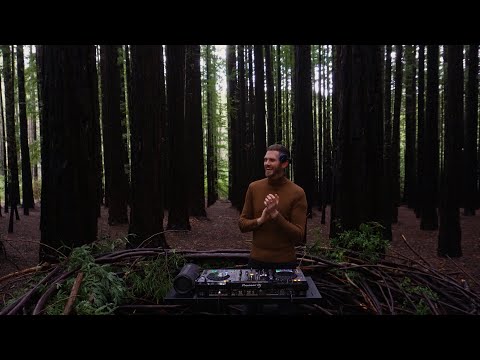 Keinemusik Inspired Afro & Melodic House set part 2. Relaxing Forest DJ Mix 4K Unreleased ID's