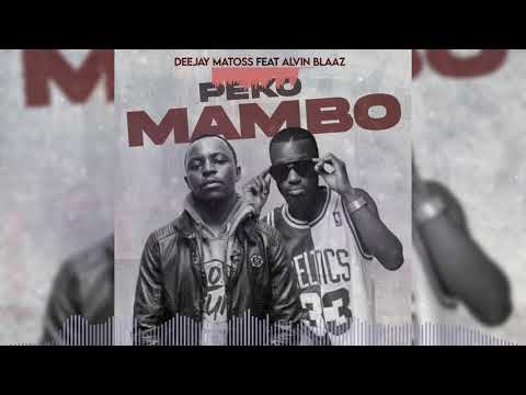 Dj Matoss feat. Alvine Blaz - Peko Mambo (Visualizer)