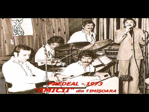 SANDU - AMICII, TIMIŞOARA - AMINTEŞTE - ŢI