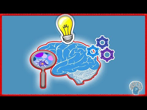 Unser Gedächtnis | Psychologie