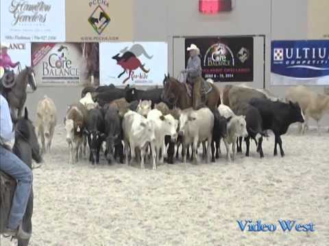 Sugs Pretty Kitty - PCCHA - June 11, 2014