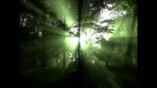 Mark Lanegan - Blues For D