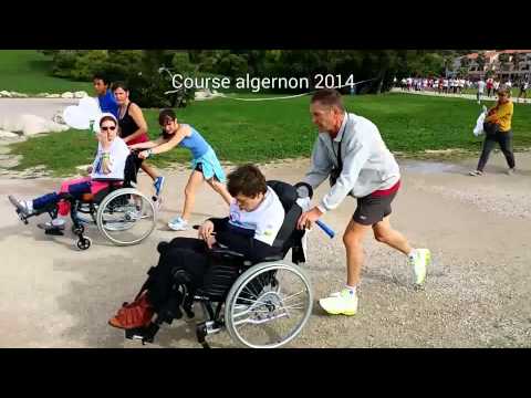 Course algernon 2014