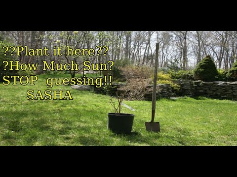 Sun & Shade Analyzer (SASHA)
