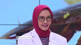 DR OZ - Kencing Kecoa Benarkah Berbahaya ? (12/1/19) Part 4