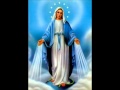 Ave Maria ( Verbum Panis) 