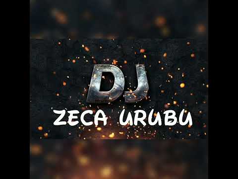 FESTA ANIMADA ((DJ ZECA URUBU))