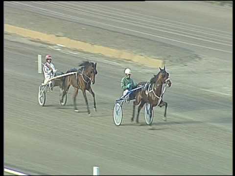 Trotto 19/03/2017 - prova di qualifica