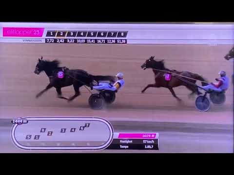 Elitloppet 2023 Solvalla Hohneck