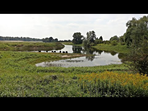 BuitenGewoon 24 juli 2019 - Terugblik 3