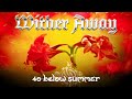40 Below Summer  - Wither Away (Official Music Video) 4K HD
