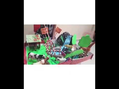 Project on Difference between Domestic Animals and wild Animals