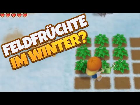 Kraftbeeren, Juwelen, Haustiere, Rätselbuch und mehr! - Story if Seasons Friends of Mineral Town