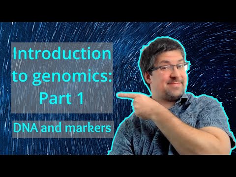 DNA and genetic markers | Introduction to genomics theory | Genomics101 (beginner-friendly)