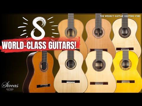 Highest Standard for the Stage? MÜLLER, LEBISCH, BARBA, VERREYDT, STAHL, MIGLIORINI, SICCAS LUTHIERS