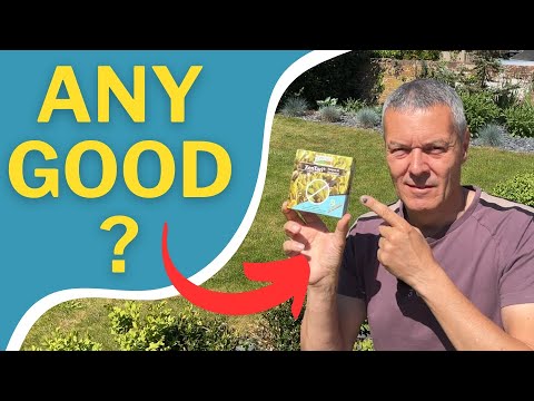 ANY GOOD? - TOPBUXUS XenTari Review