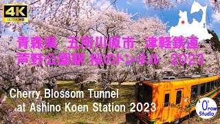 芦野公園駅（津軽鉄道）