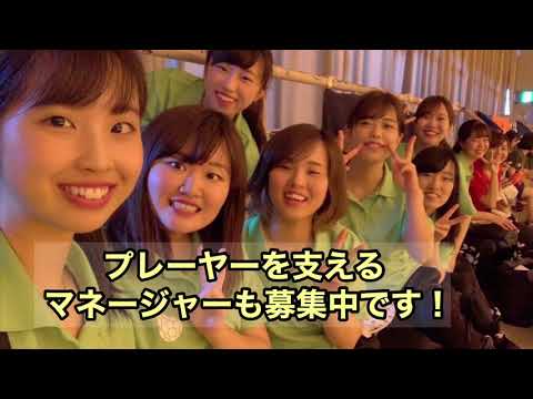 医学部ハンドボール部