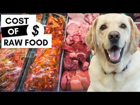 download lagu mp3 mp4 Cost Of Barf Dog Food, download lagu Cost Of Barf Dog Food gratis, unduh video klip Cost Of Barf Dog Food