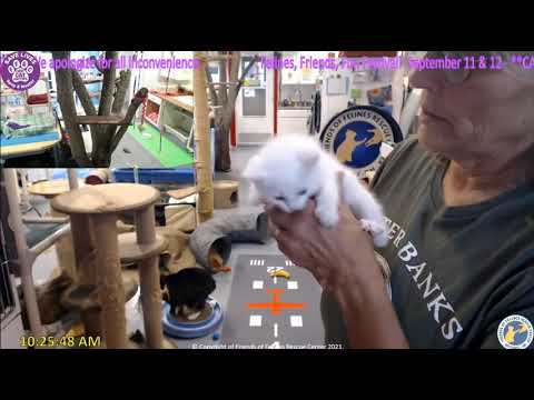 FFRC Anyone for Popcorn 2021-08-24