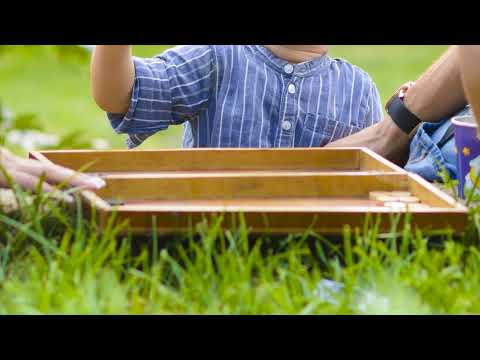 Backgammon with Beginners starts tonight July 23, 2025 at 6 pm Central!