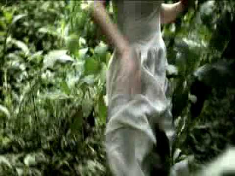 Claudia Albuquerque  "In Your Arms"