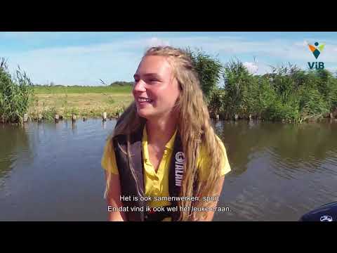 September Sportmaand - Promotiefilm de Bommeer