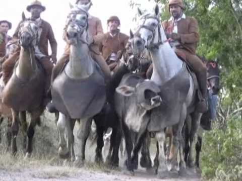 Luiz Gonzaga e Fagner - Corrida de Mourão