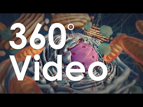 360° Guided Tour of the Cell (demo)