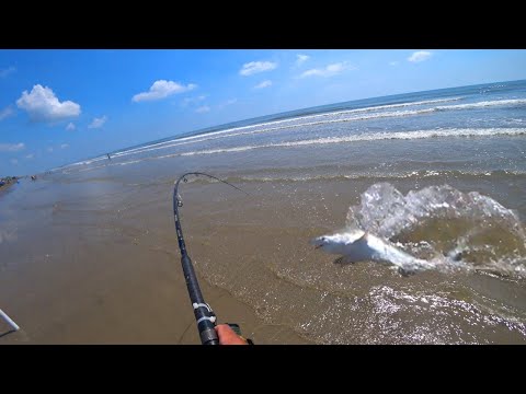 image-What hook do you use with cut bait?