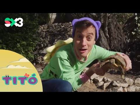 Excursió amb tortugues | Titó